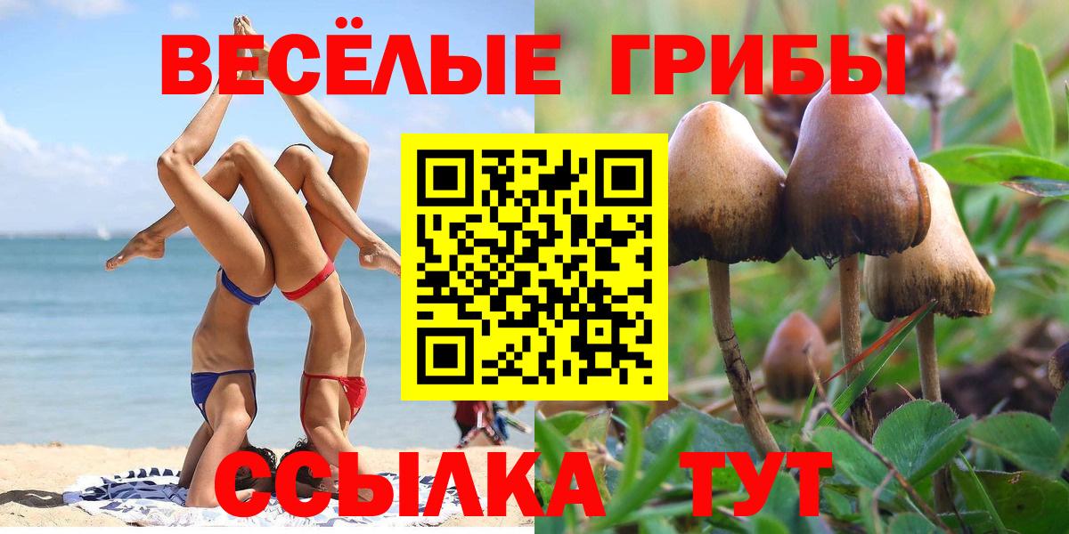 Кушва  Галлюциногенные грибы мицелий  Вход с VPN  Галлюциногенные грибы Psilocybine cubensis 